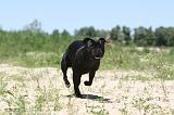 STAFFIE 034